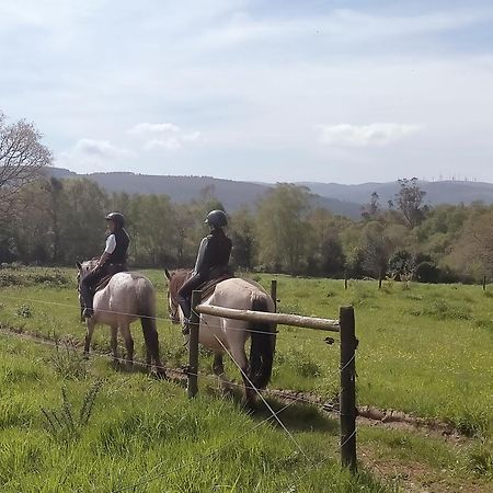 Granja Labrada: Alojamiento Con Caballos Manon Exteriér fotografie