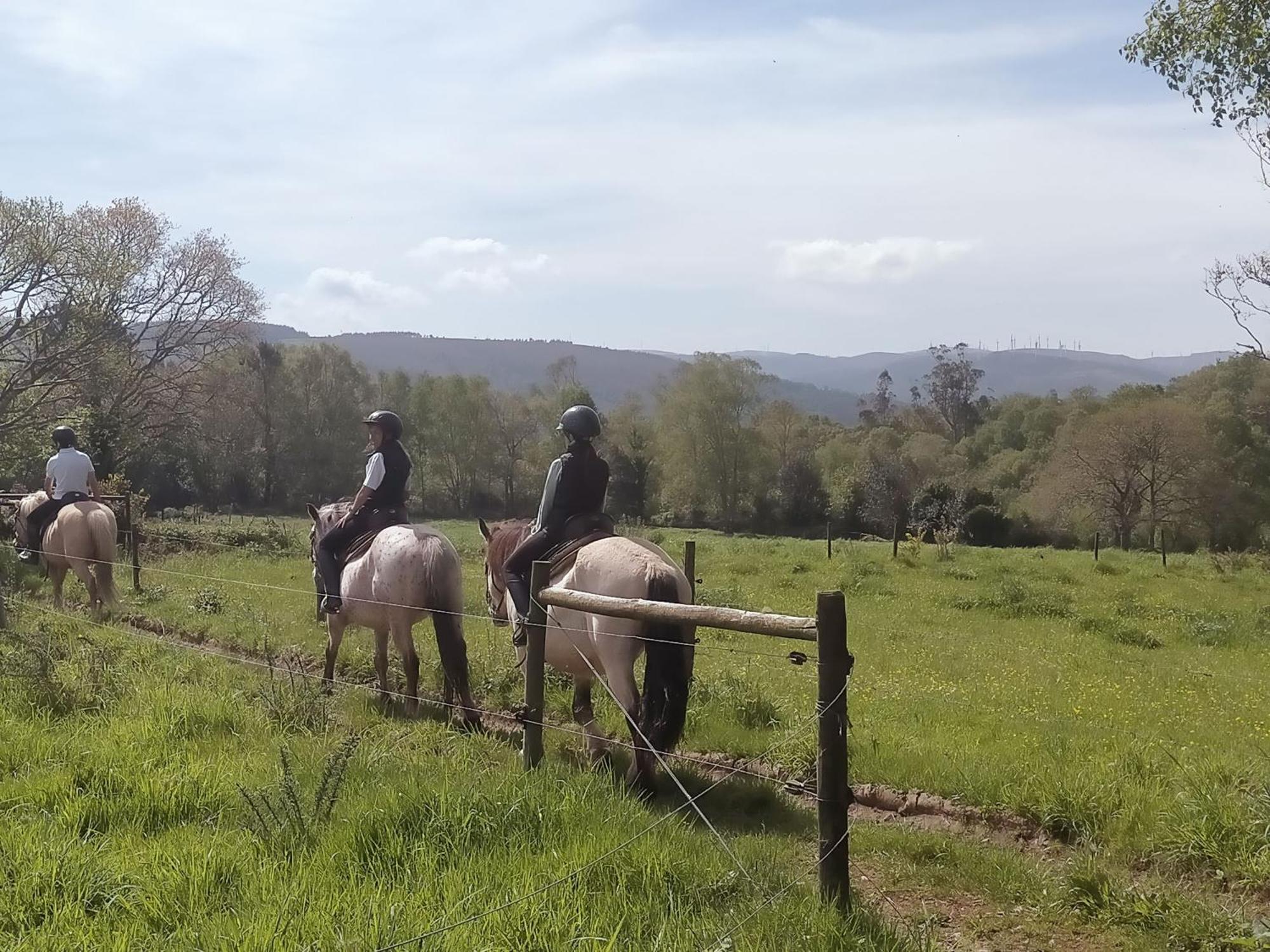 Granja Labrada: Alojamiento Con Caballos Manon Exteriér fotografie