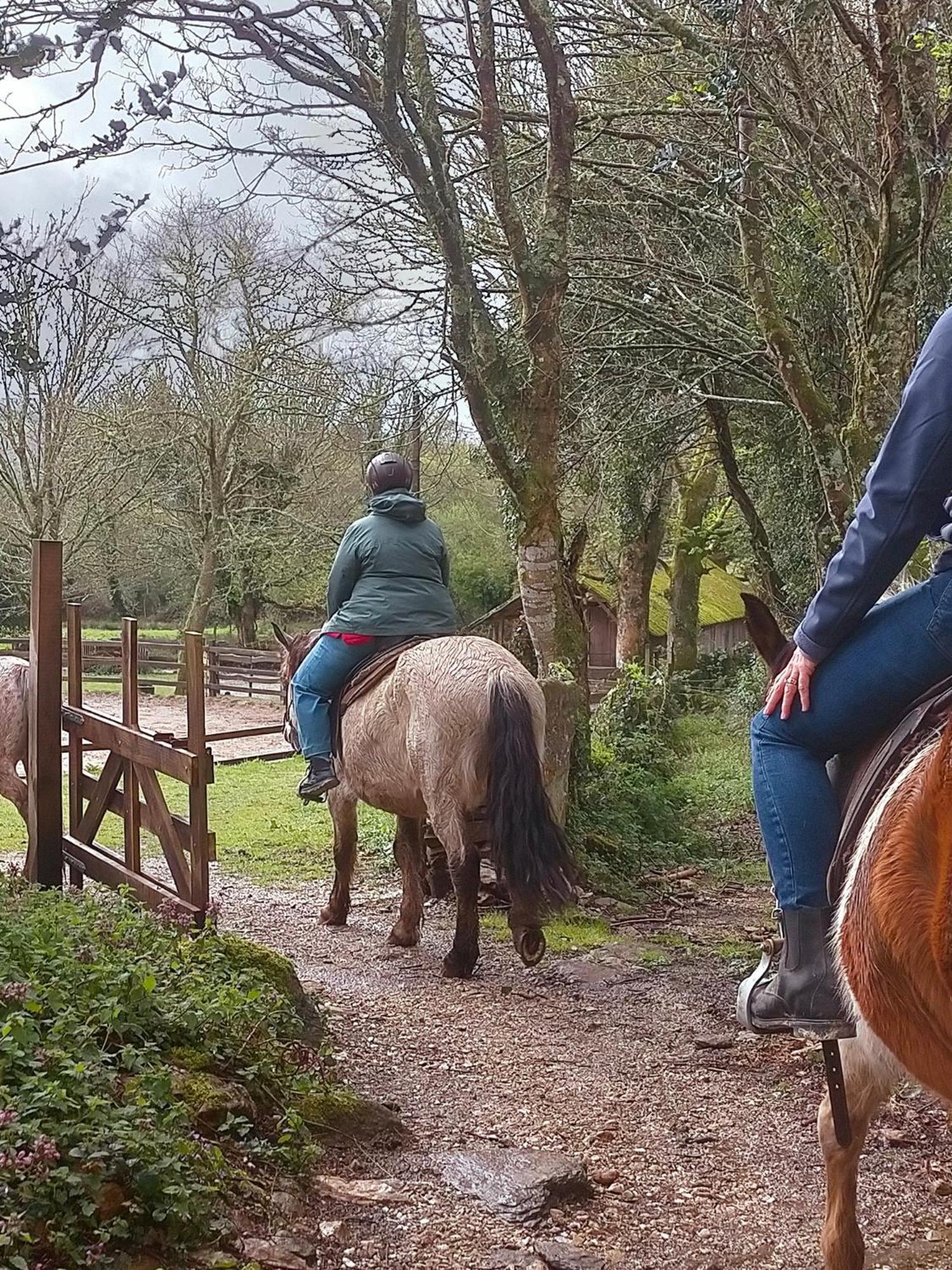 Granja Labrada: Alojamiento Con Caballos Manon Exteriér fotografie